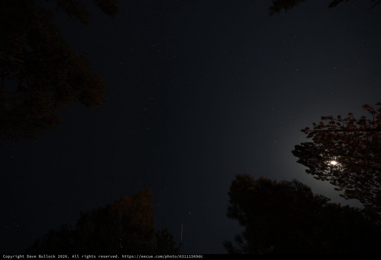Moonlit Night Sky Over Lassen Volcanic Park Trees