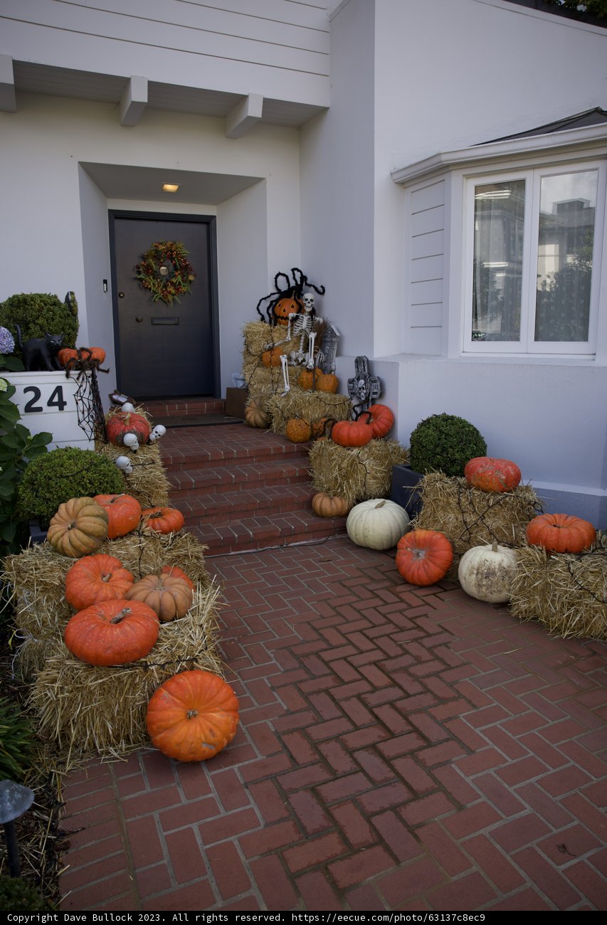 The Pumpkin-Lined Brick Pathway