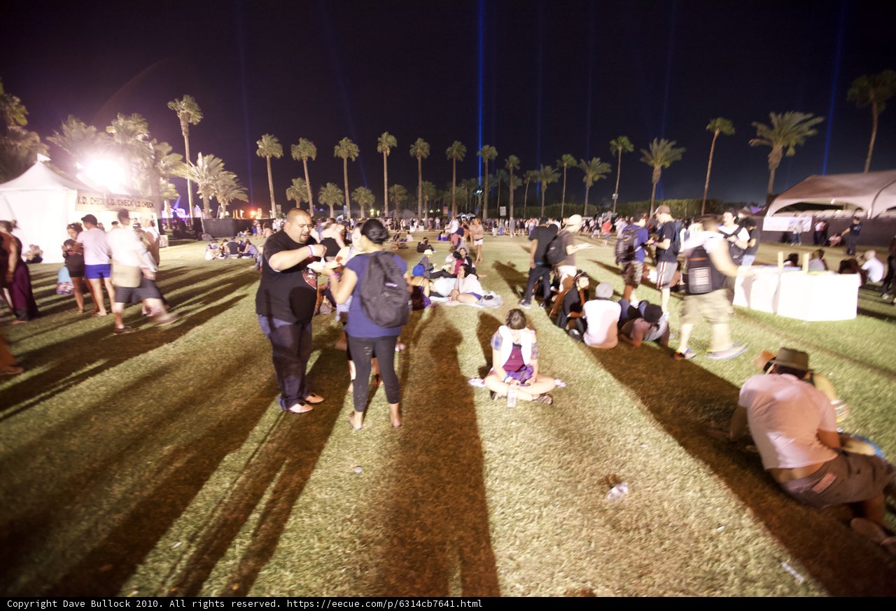 Nighttime Gathering under Palm Trees