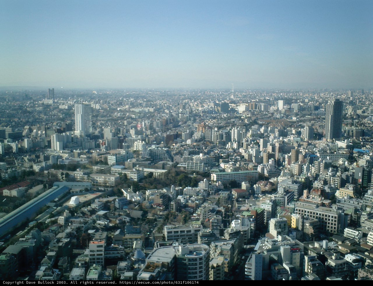 Tokyo Metropolis