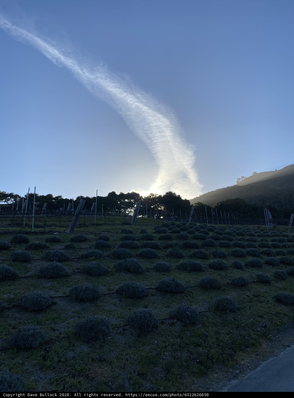 Endless Sky
