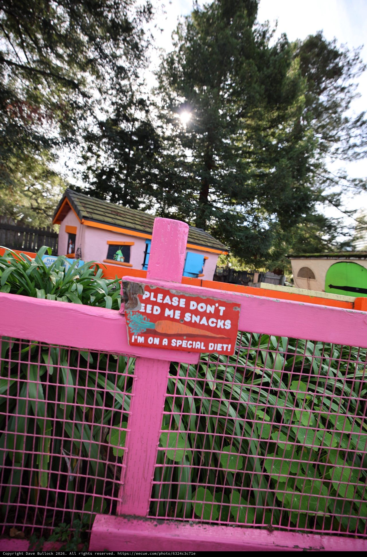 Colorful Animal Enclosure with Special Diet Warning Sign