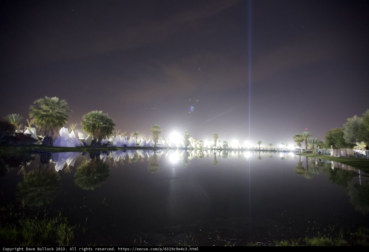 Palm Tree Lake at Night