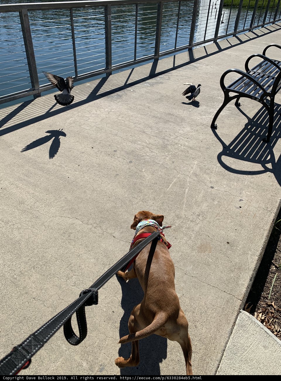 Walking by the Waterfront
