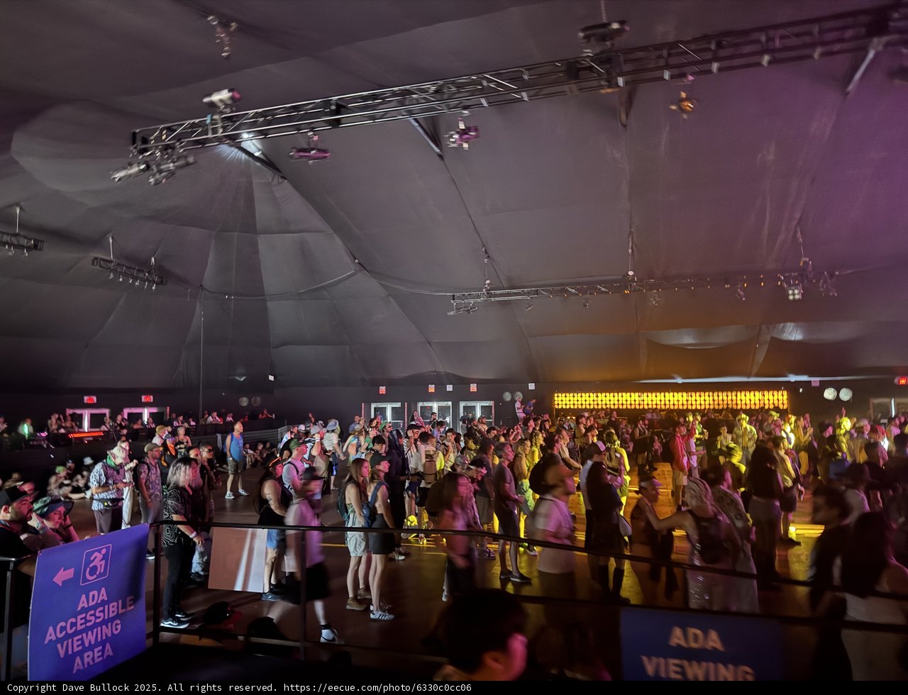 Electric Rhythms and Vibrant Crowds