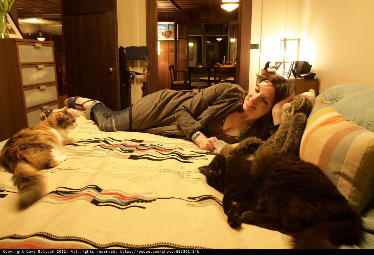 Cat Lady Relaxing on Bed with Feline Companions