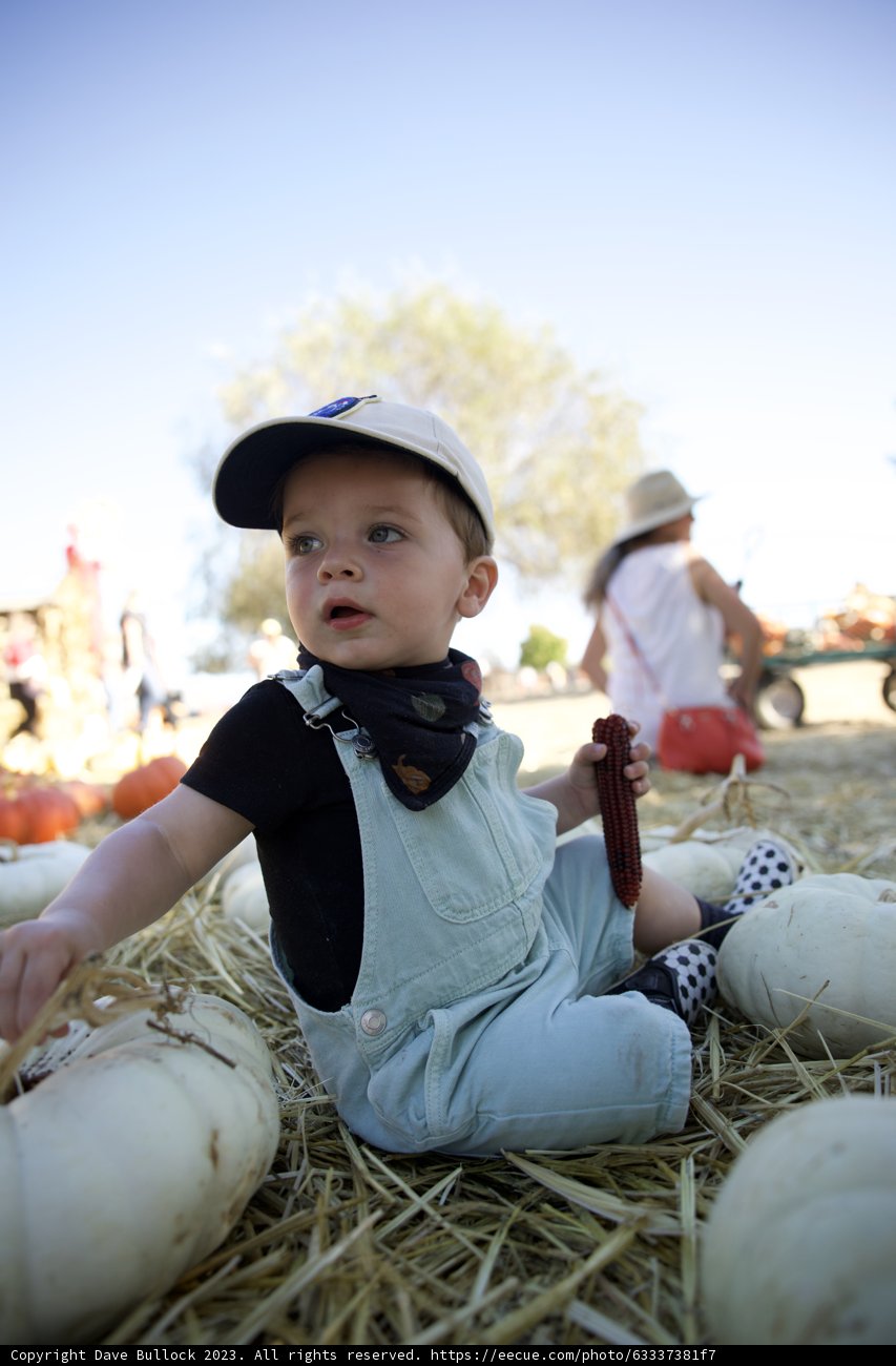 A Sunny Day at the Pumpkin Patch
