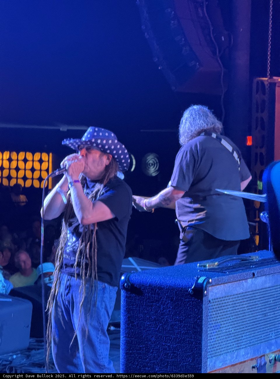 Rhythms of the Night: A Concert at Empire Polo Club