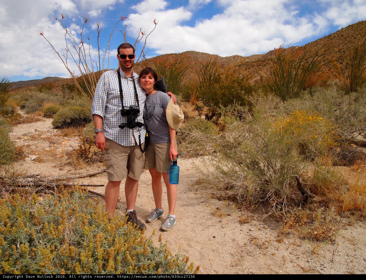 Couple Posing on Desert Trail Among Spring Blooms