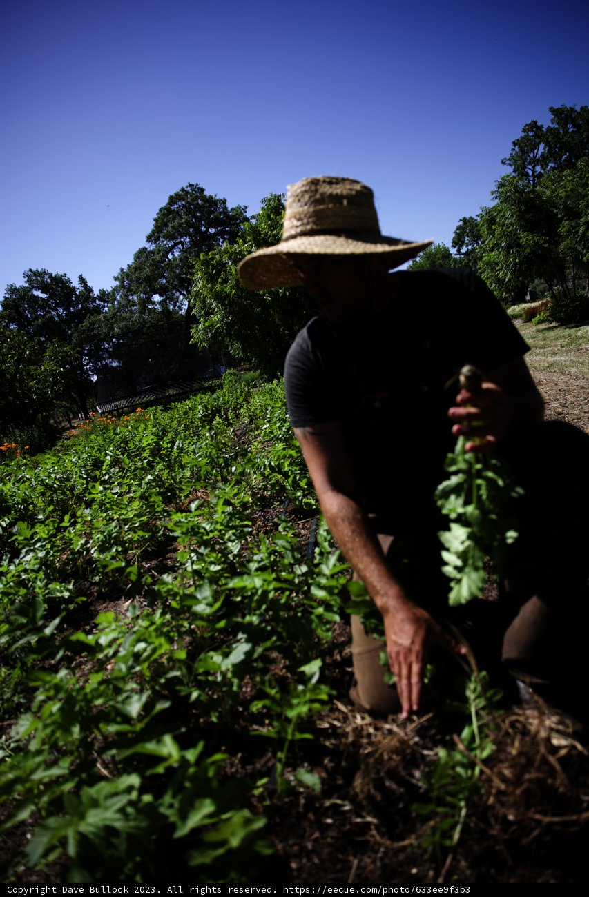 Embracing Regenerative Agriculture