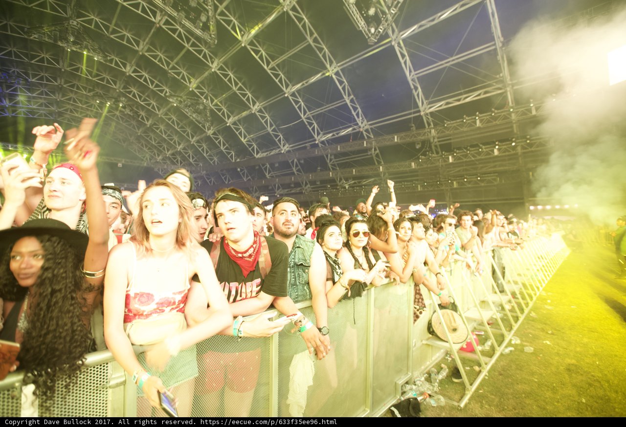A Sea of Music Lovers
