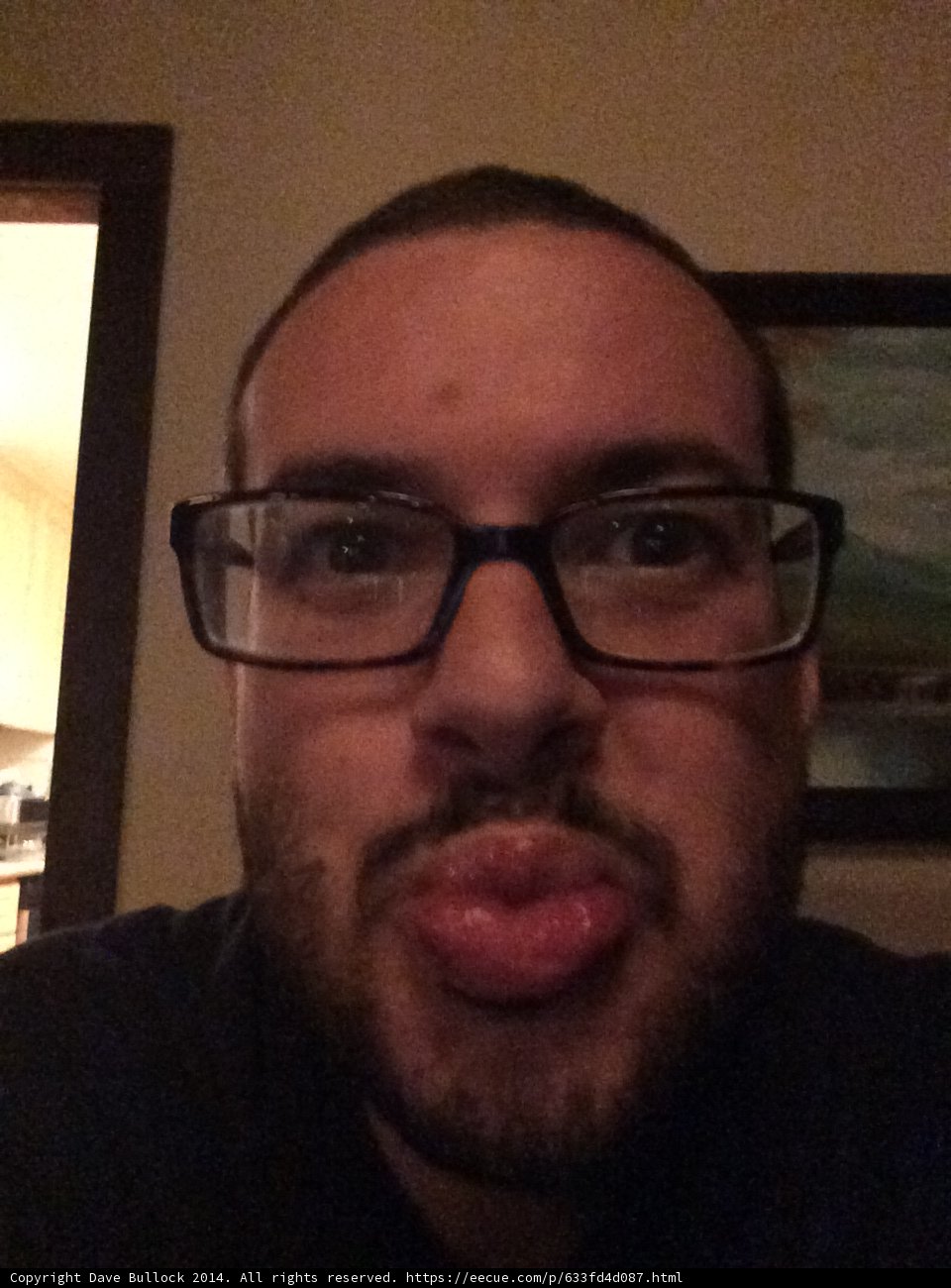 Funny Faced Dave