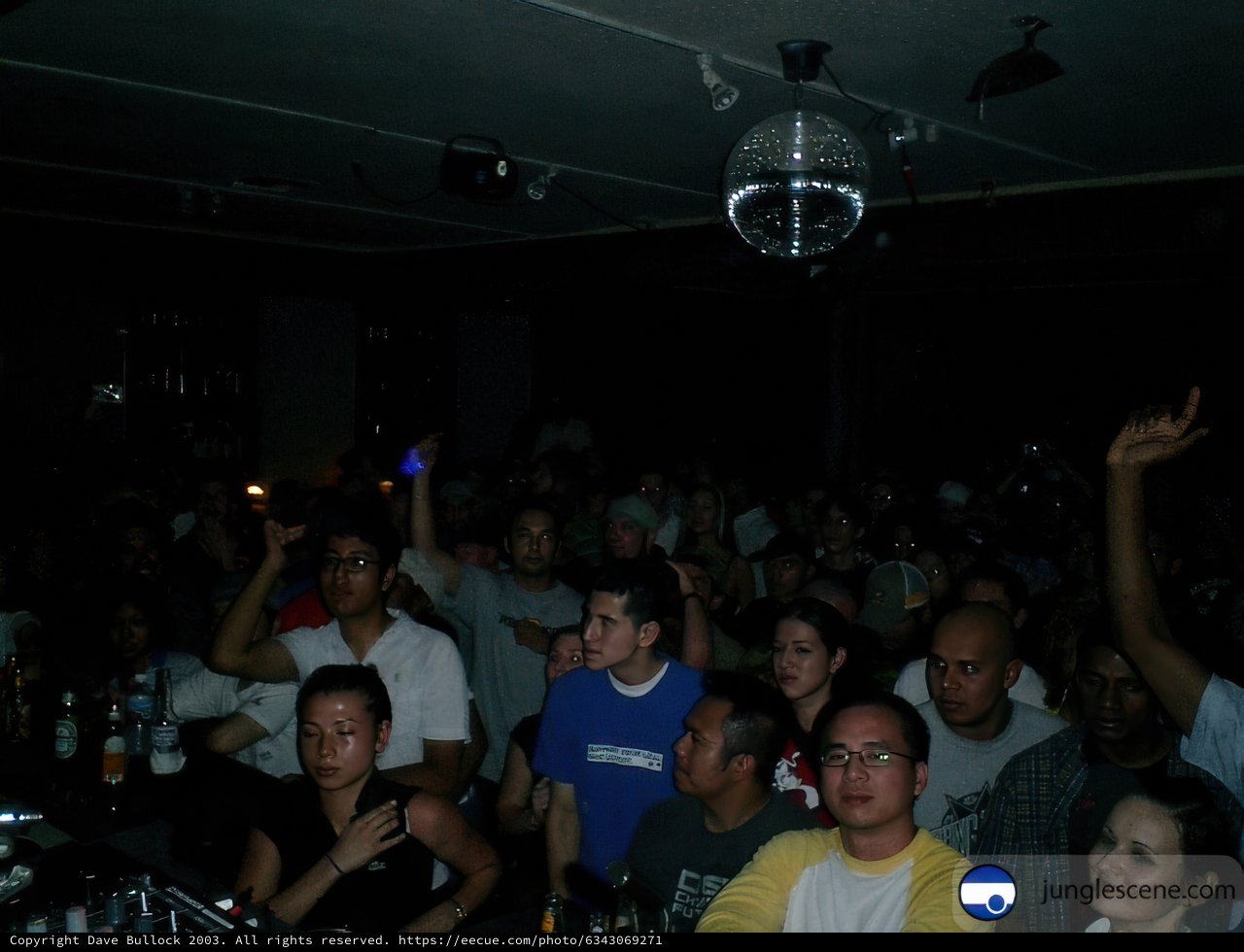Disco Fever at the Night Club