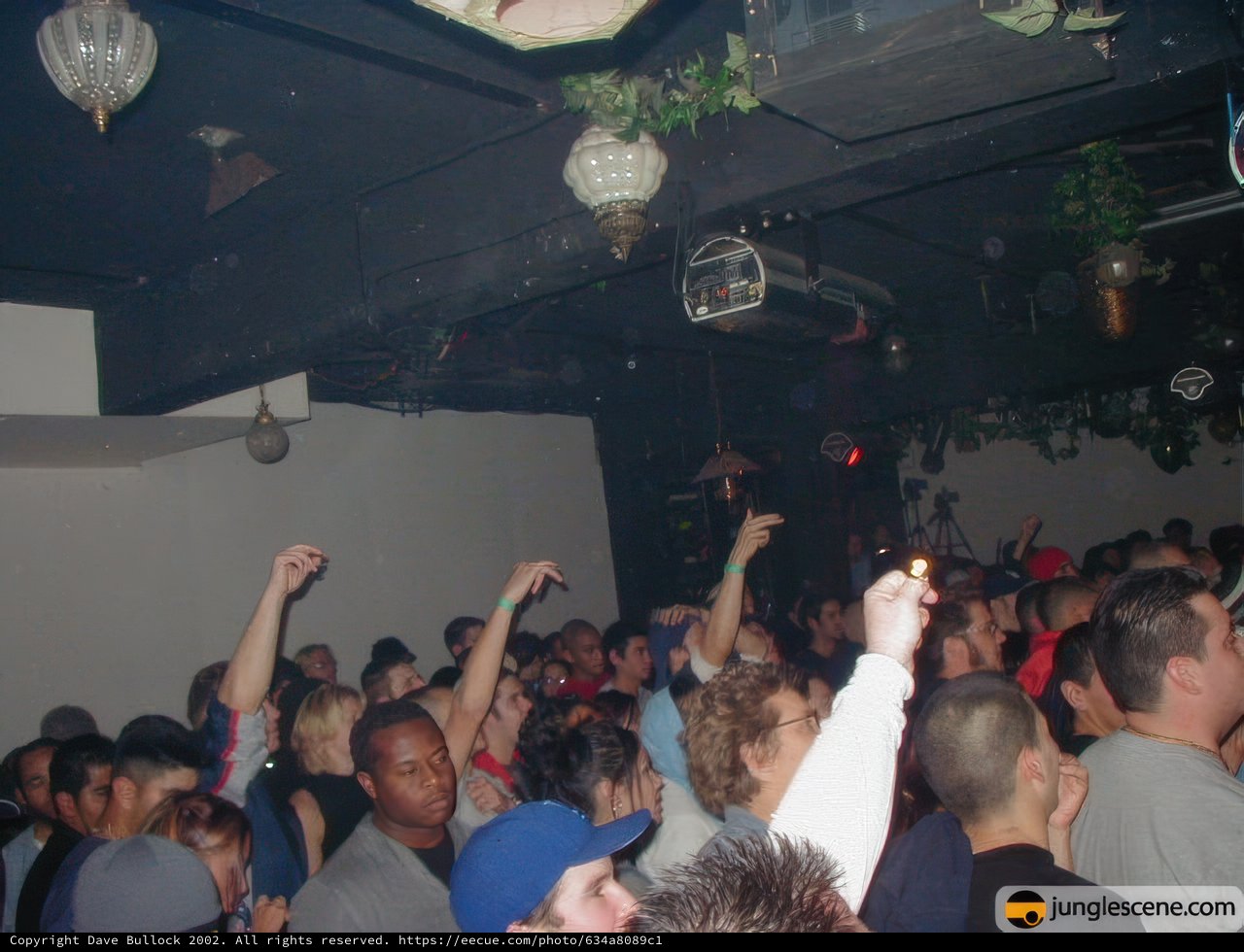 Nightclub Fun