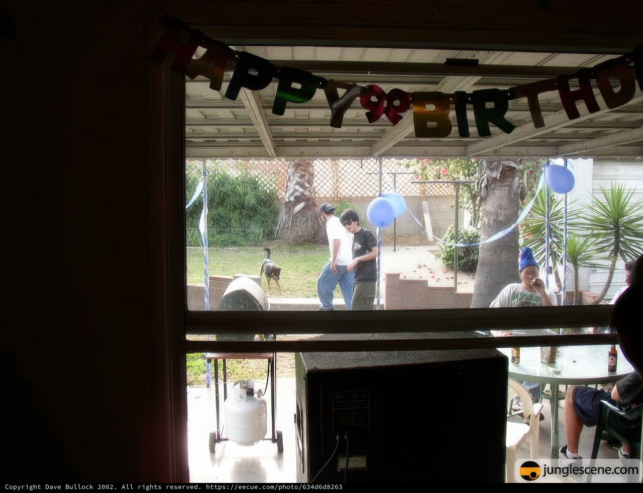 Fun-filled Birthday Bash in the Backyard