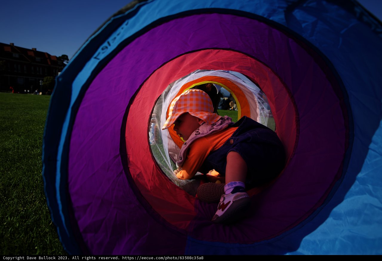 Playtime Adventures in a Colorful Tube