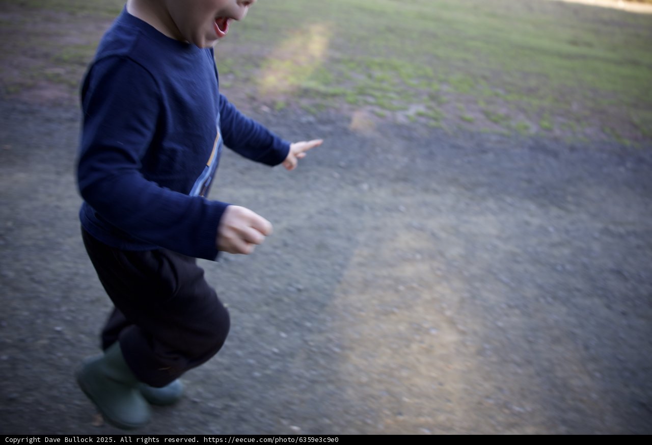 Youthful Adventure
