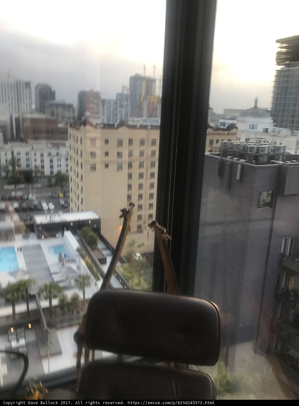 Giraffe Home Decor