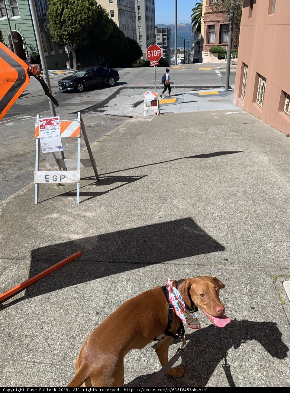 Urban Walkies