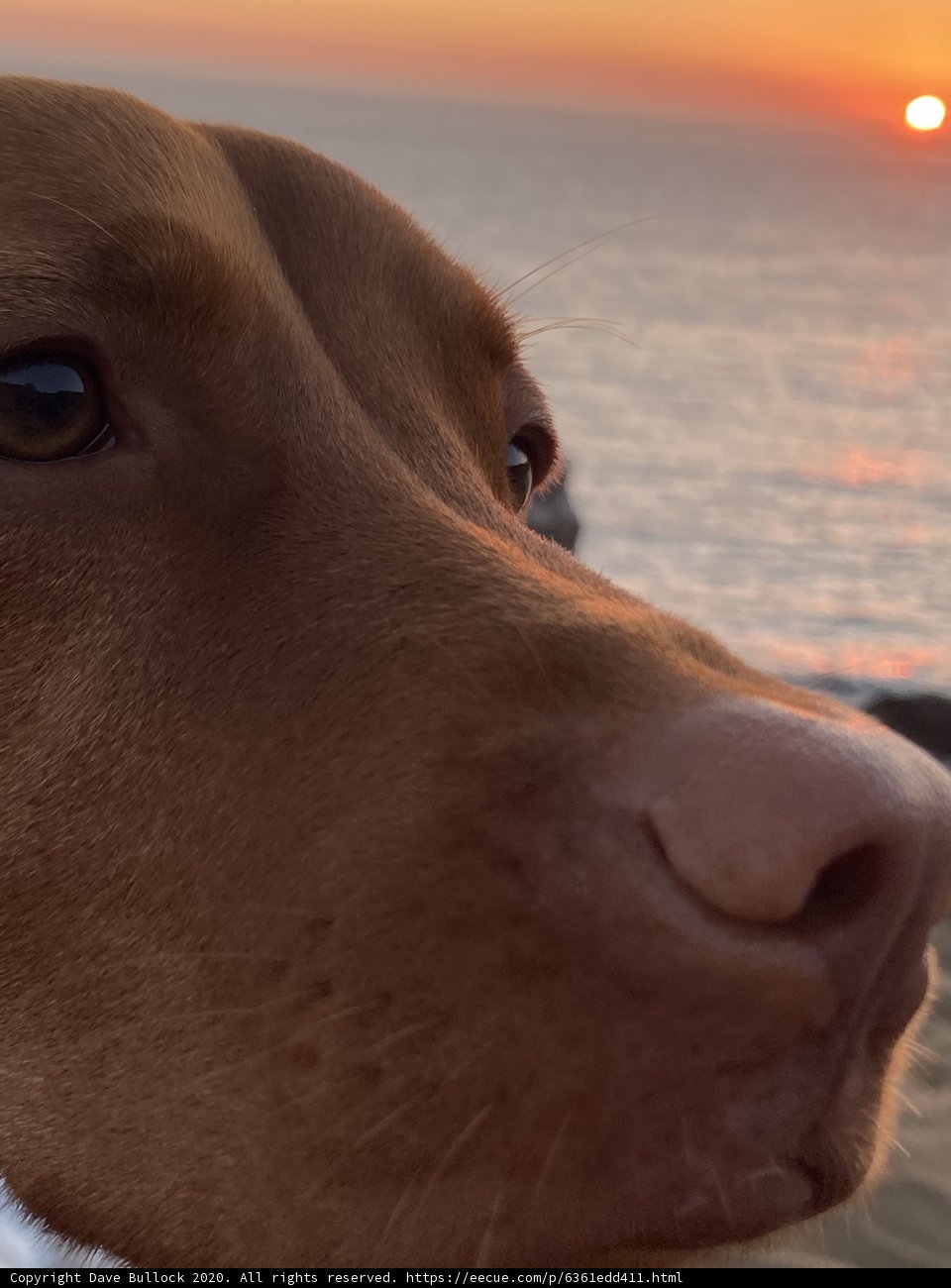 A Day at the Beach