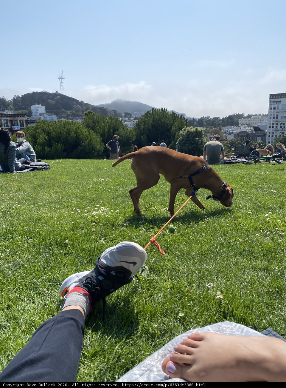 Enjoying a Sunny Day in the Park