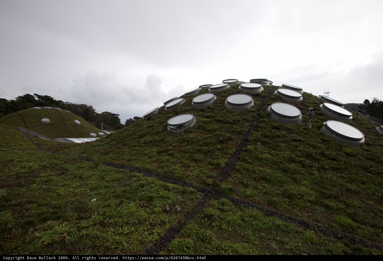 Circular Holes on a Green Roof
