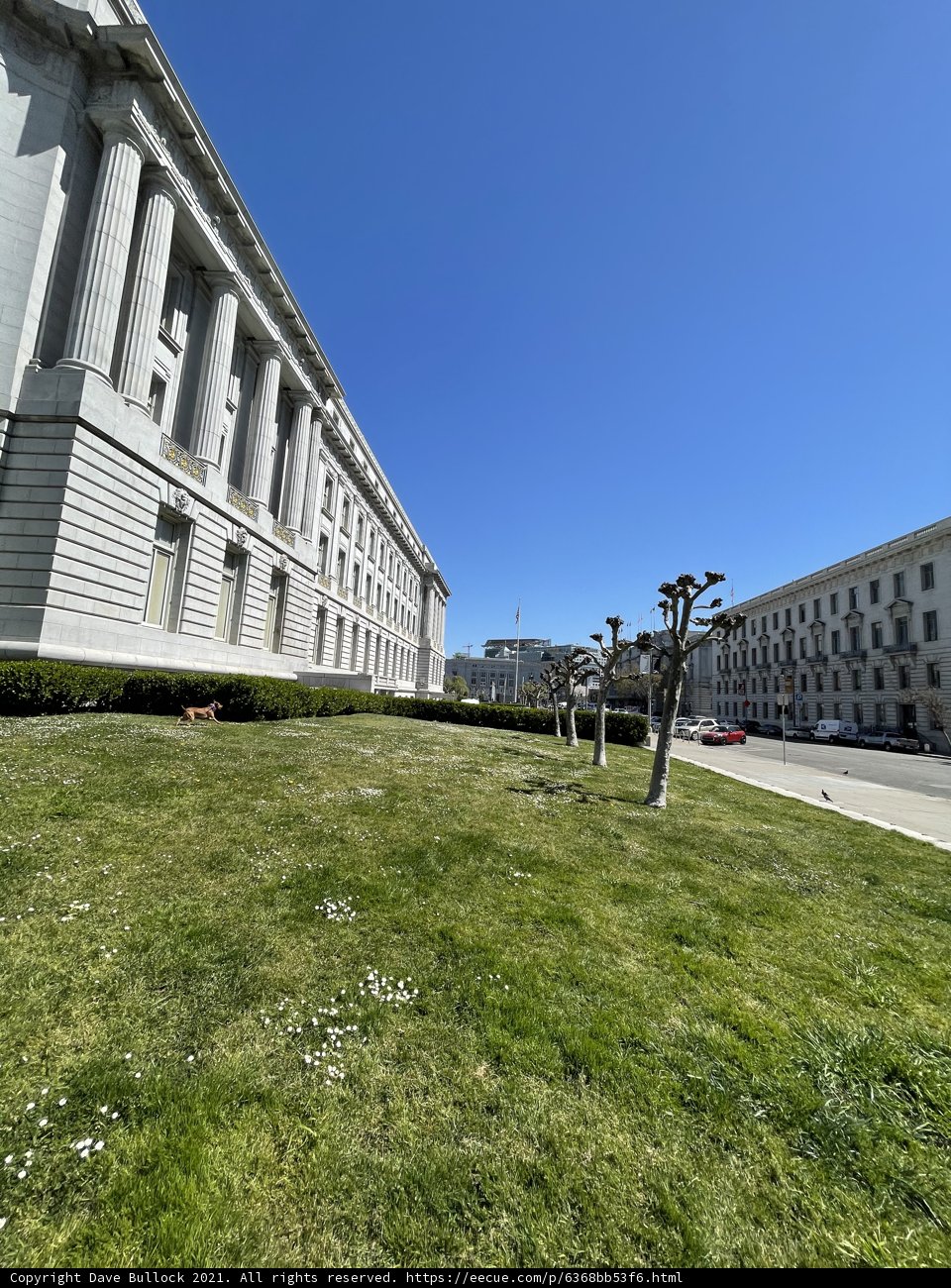 San Francisco City Hall