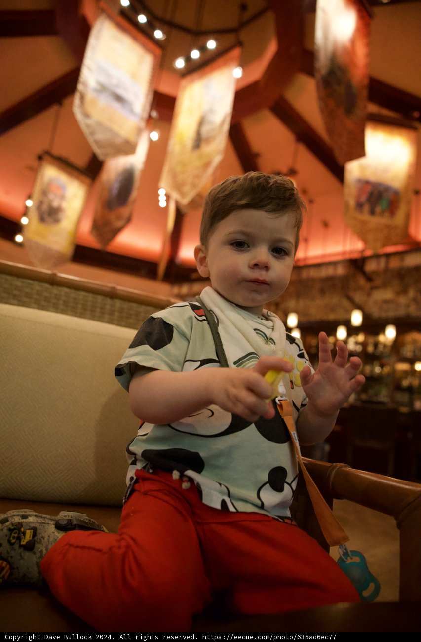 Family Fun at Disney's Animal Kingdom, 2024