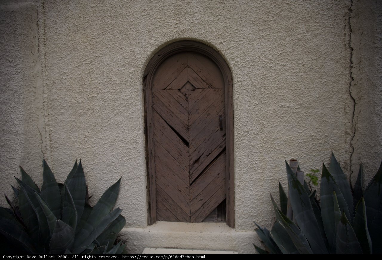Wooden Arch Door