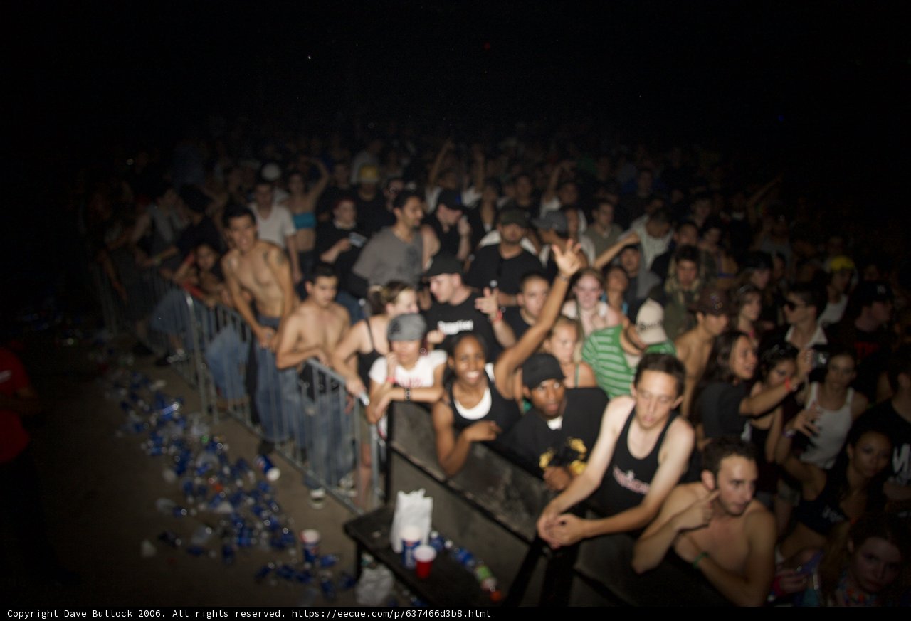 Concert Crowd Joins the Nightlife Fun