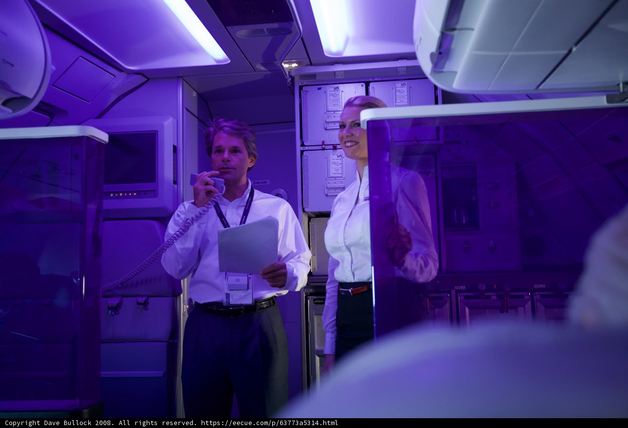 Flying in Purple Light