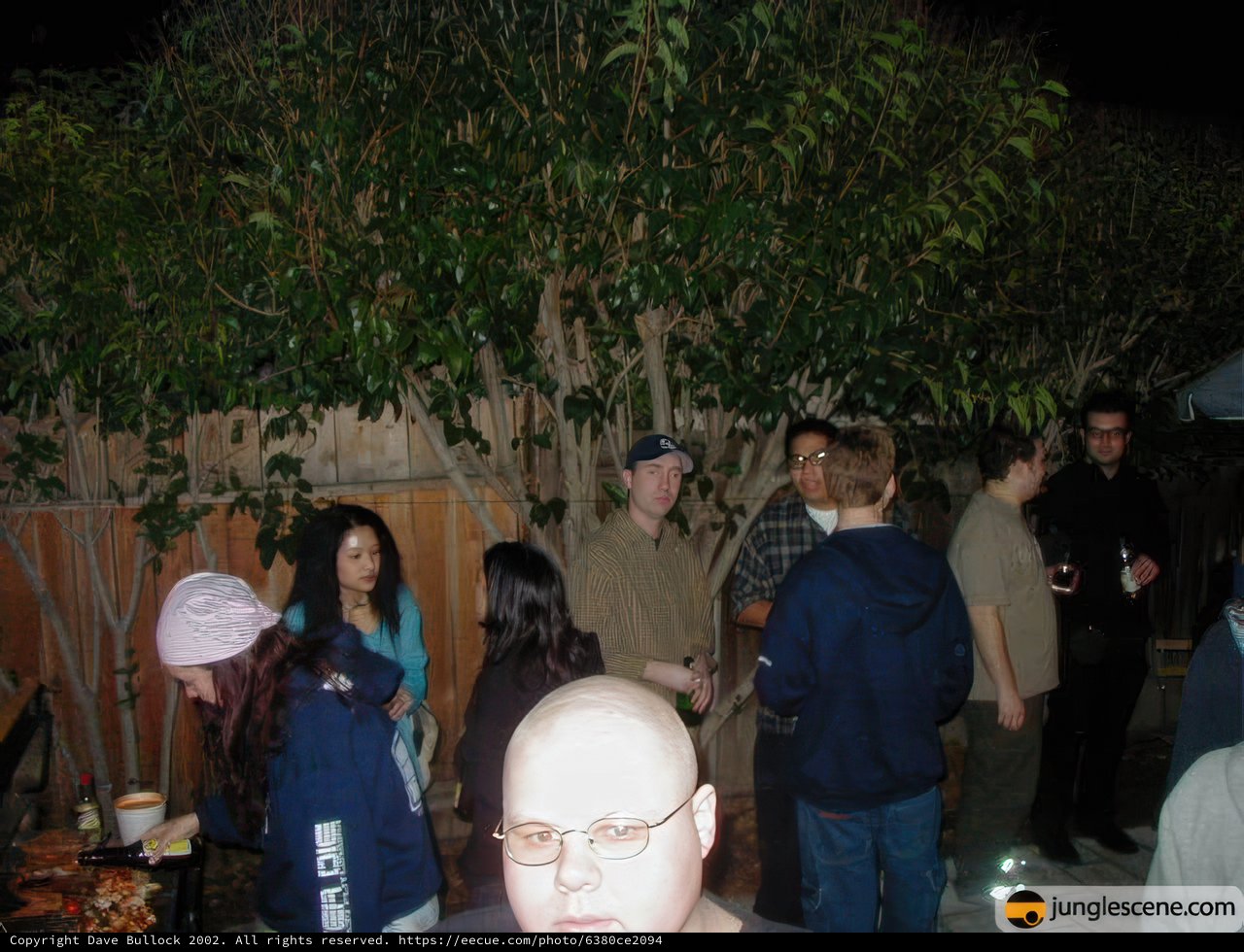 Nighttime Gathering Around a Potted Plant
