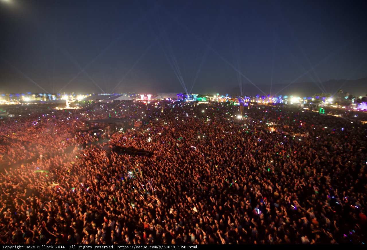 Festival Fever