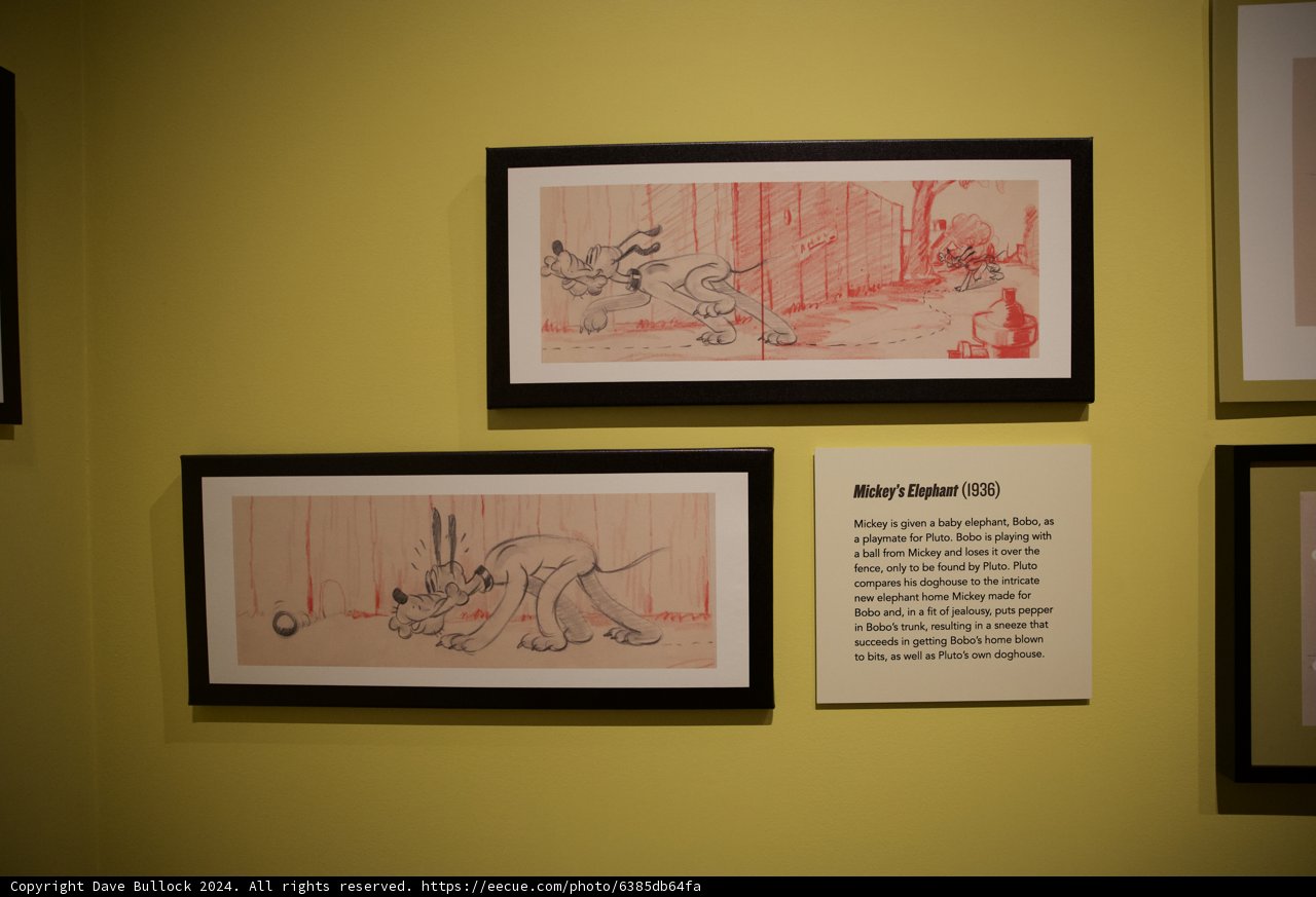 Modern Art Menagerie: An Expression of Fauna