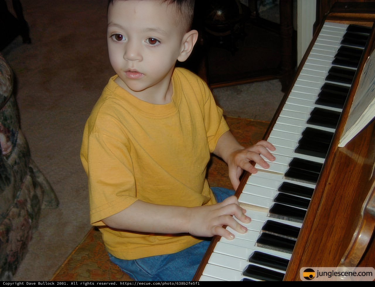 Young Pianist
