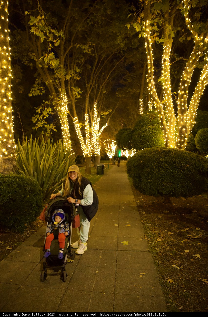 Festive Evening Stroll