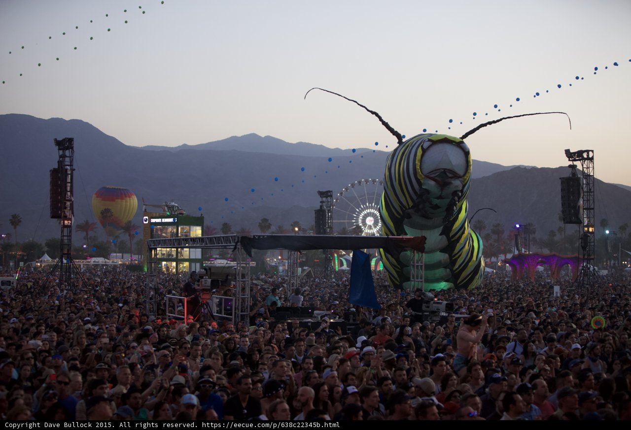 Coachella Festivities