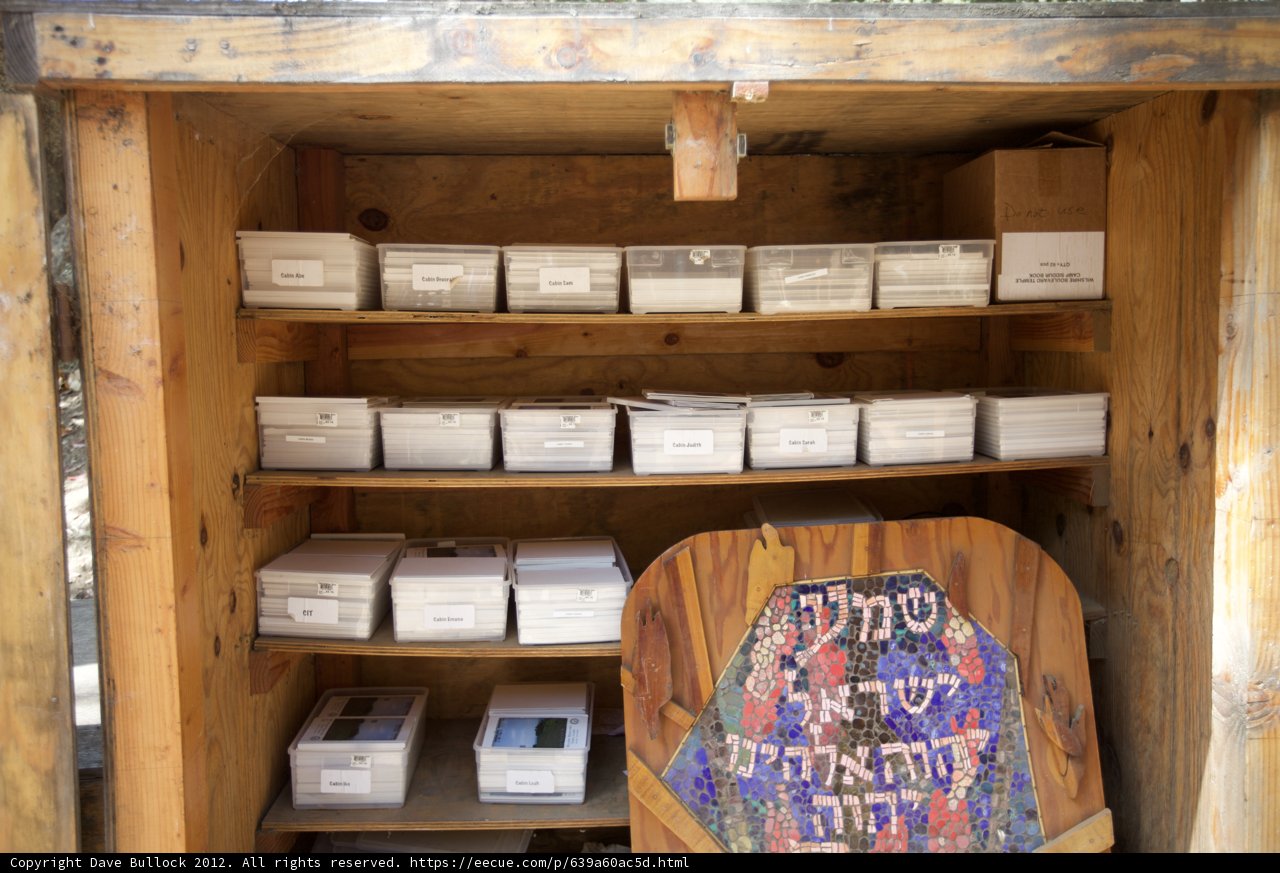 The Wooden Cabinet of Wonders