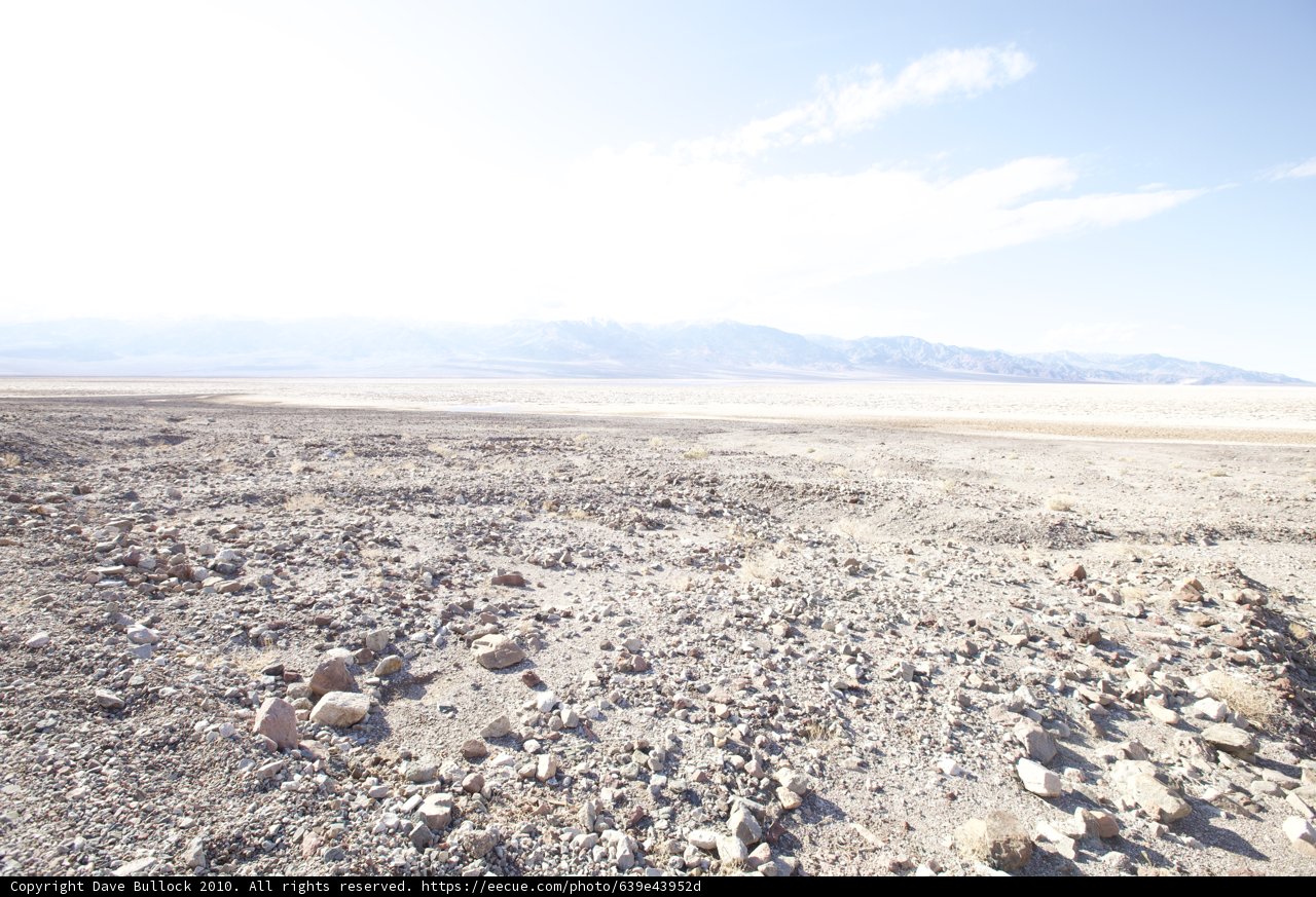 Barren Beauty