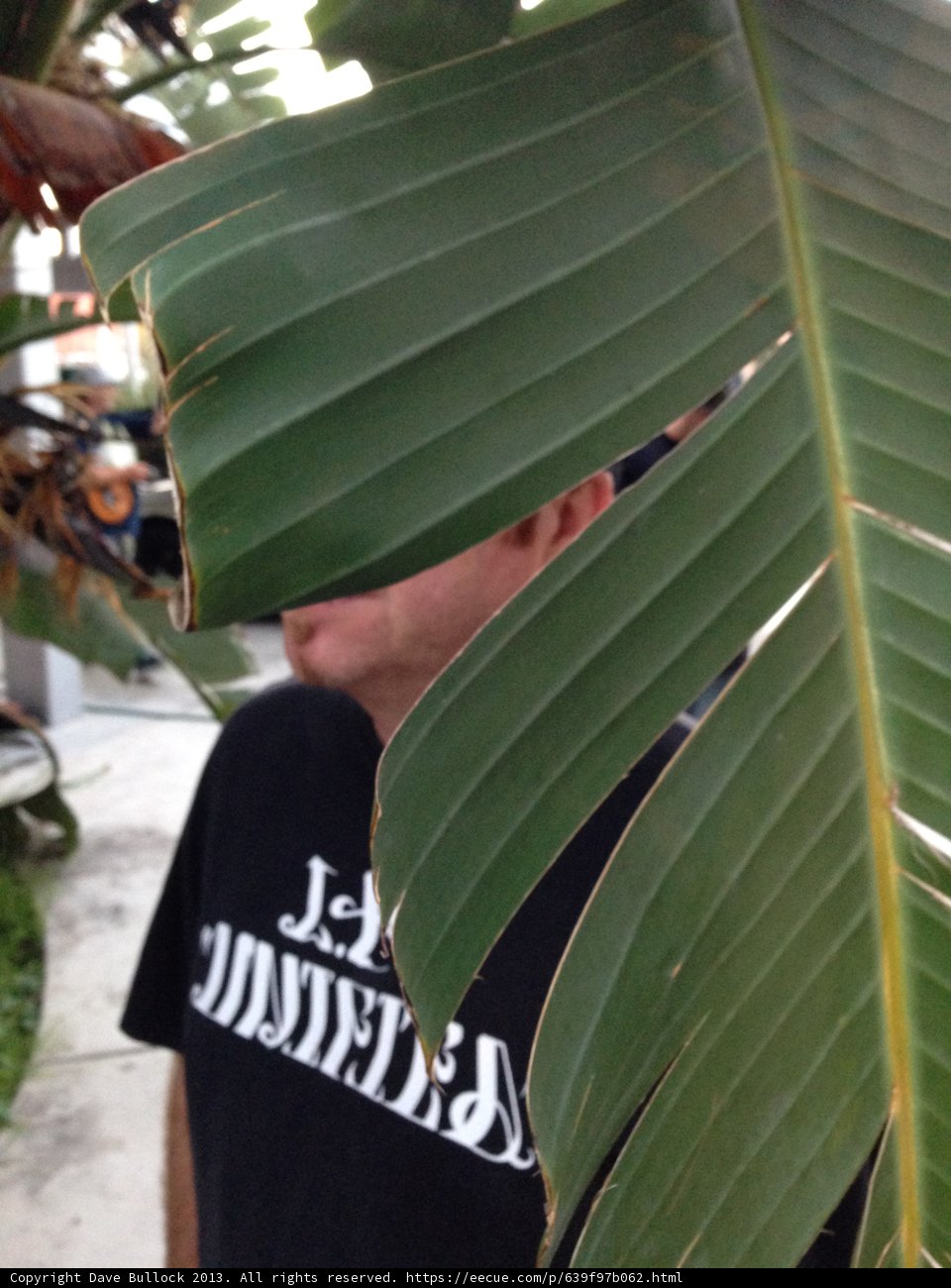 Man in T-Shirt Poses with Banana Tree