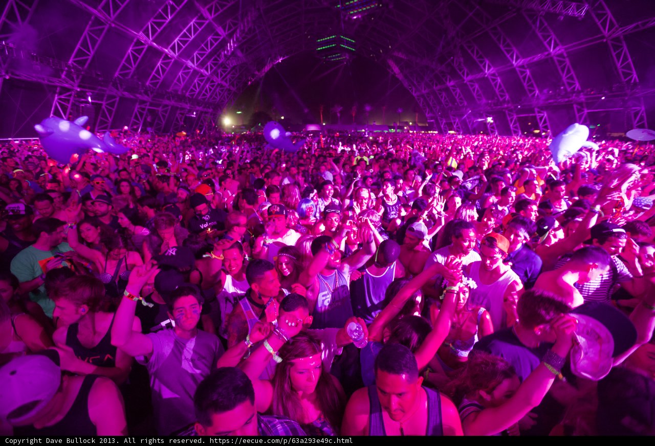 Purple Haze at Coachella