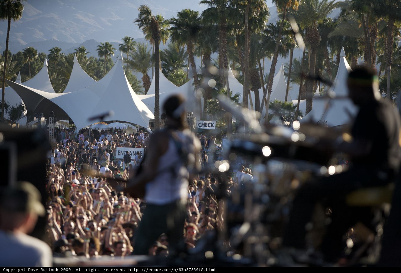 Jamming under the Palm Trees