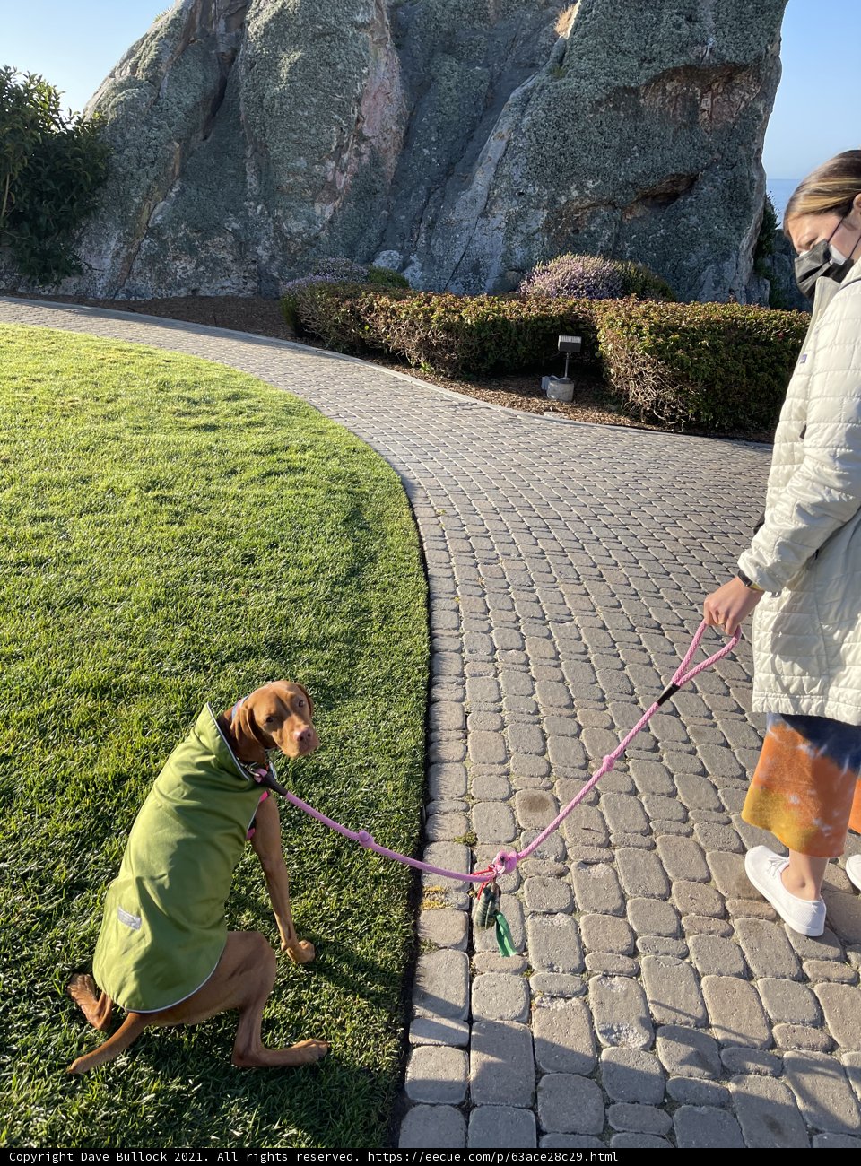 A Walk in the Park
