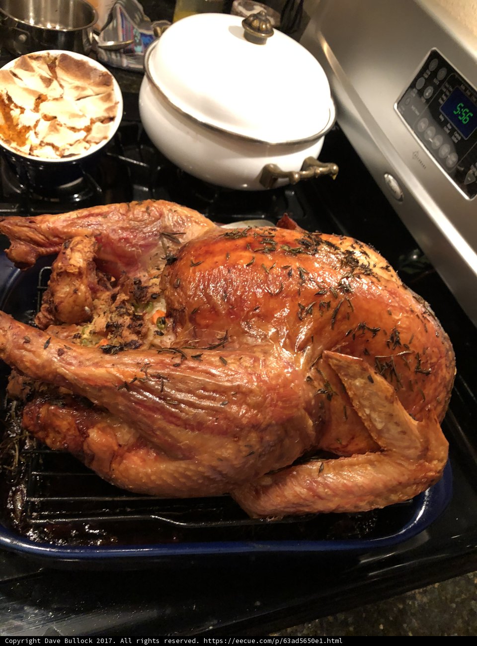 Perfectly Roasted Thanksgiving Turkey