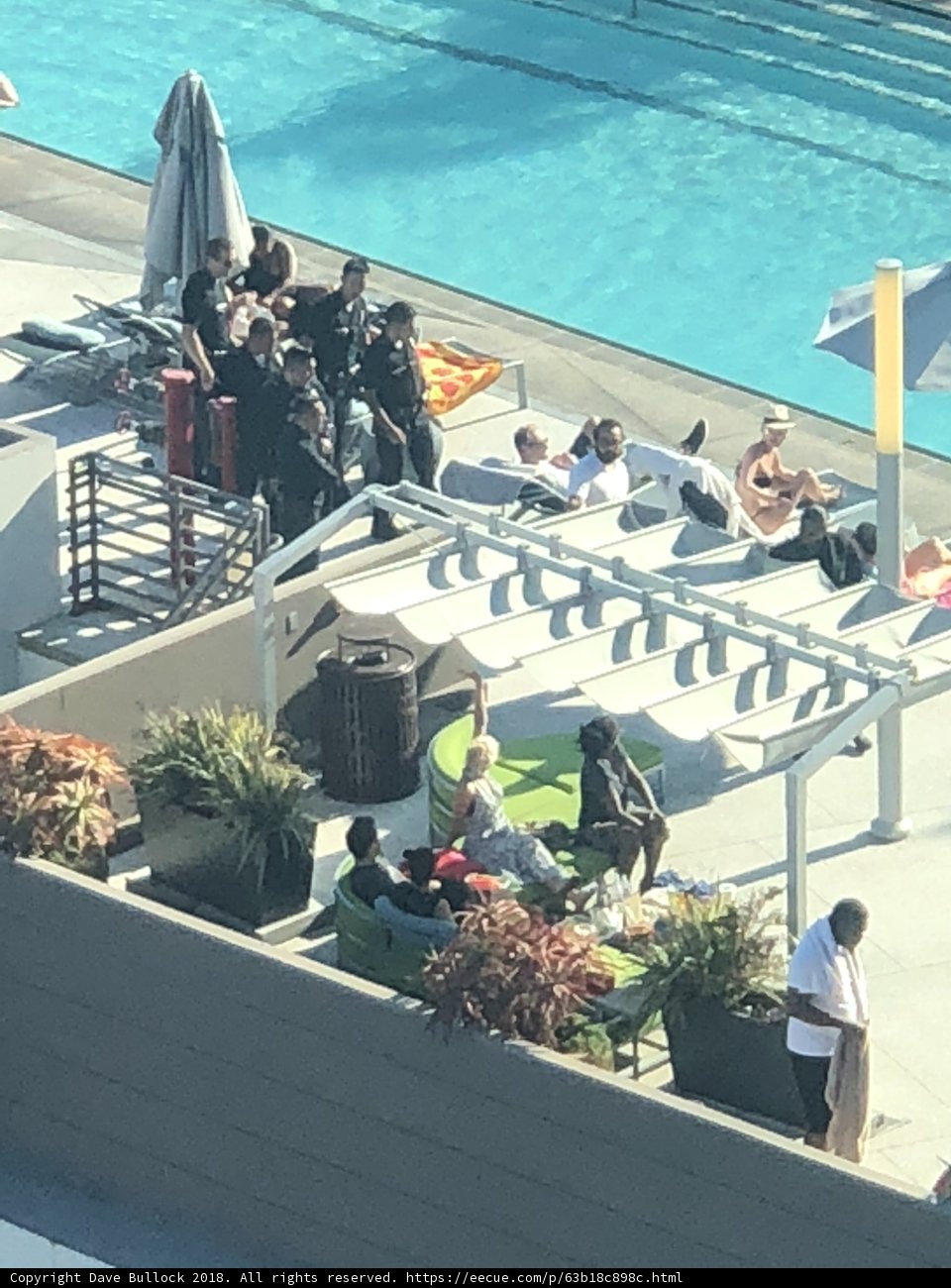 Poolside Gathering