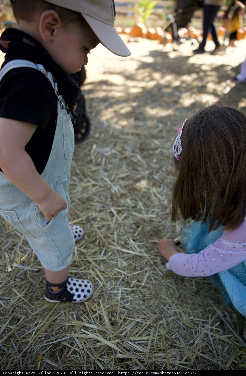 Pumpkin Patch Adventure 2023