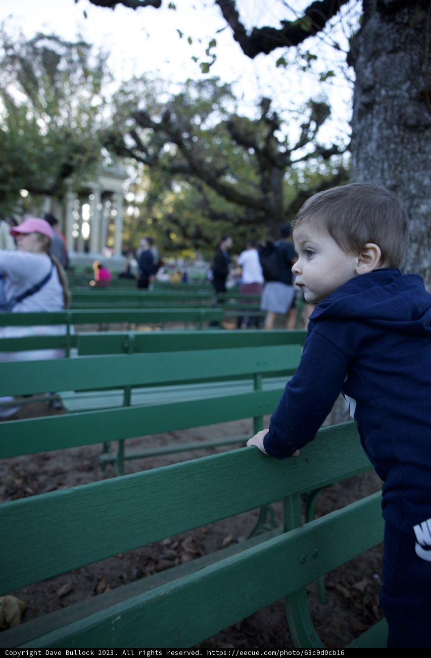 Unscripted Childhood Moments at November Academy