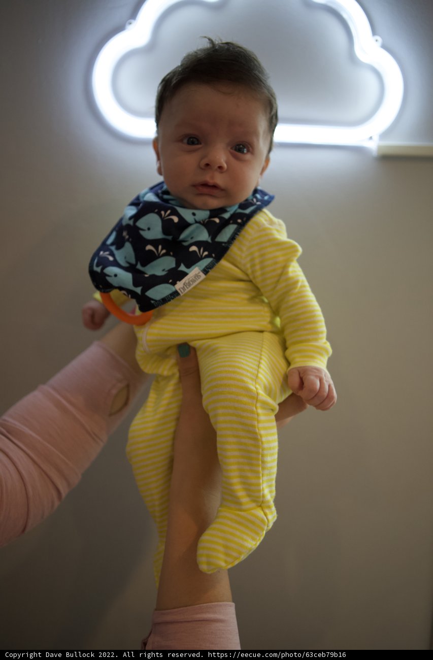 Neon Lullaby, Wesley at 2 Months