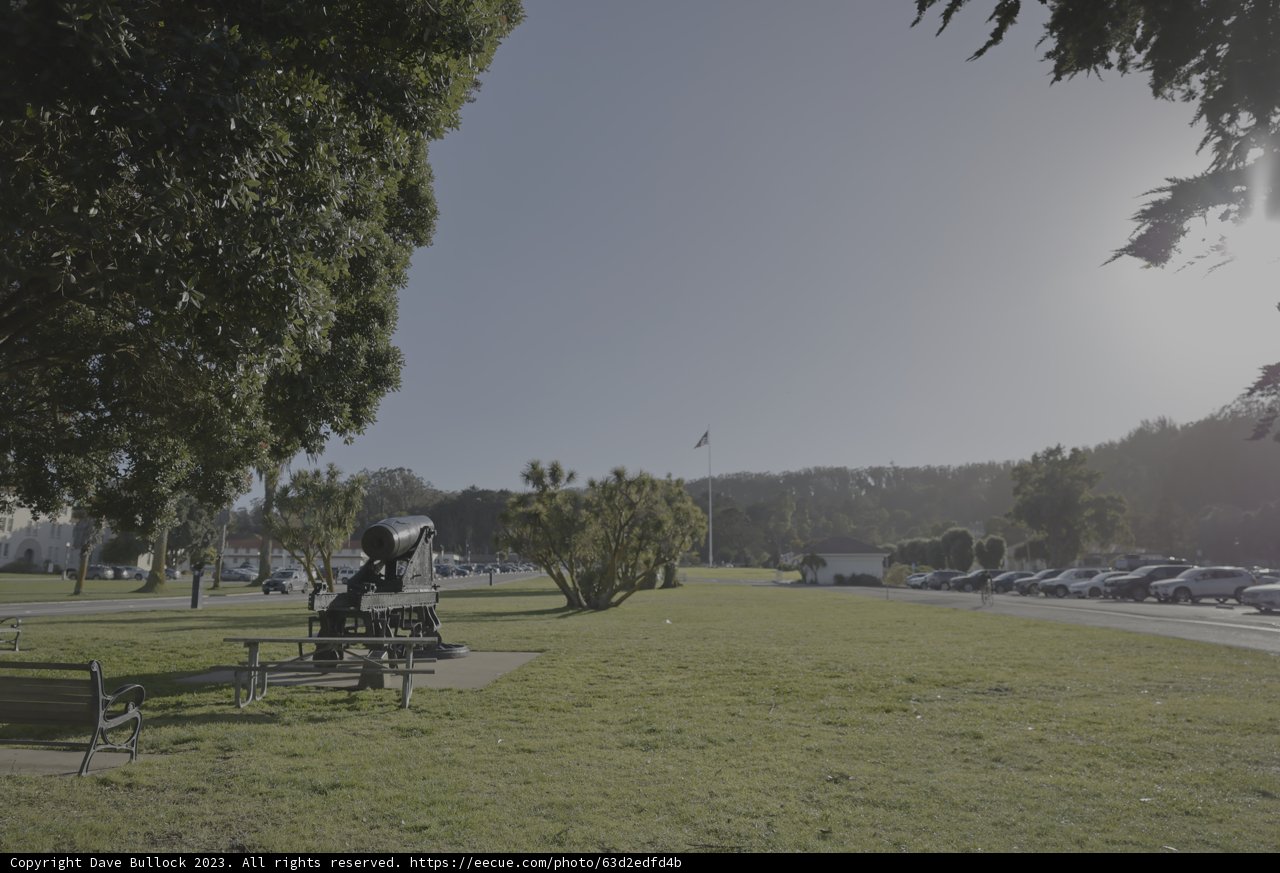 A Serene Afternoon in the Park