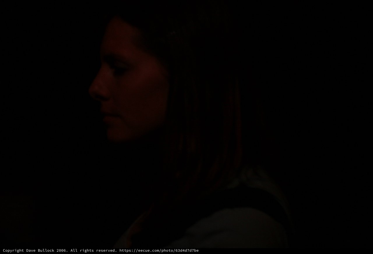 Silhouette in Darkness: Profile Bathed in Red Light